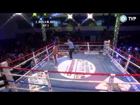 Boxeo en TVP - Los mejores KO del 2015