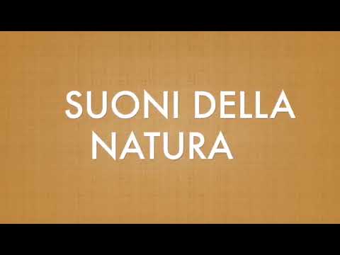 Indovinelli sonori