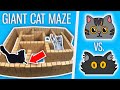 Ralph Vs Bella GIANT Cat Maze