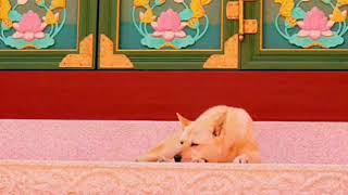 홀로 잠드는 한적한 자유 (John Denver - Sleepin&#39; Alone)