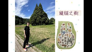 龍貓之樹 - 小杉の大杉 山形Totoro