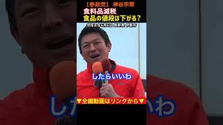 【食料品の値段は下がる？】食品だけ減税しても意味がない！神谷宗幣