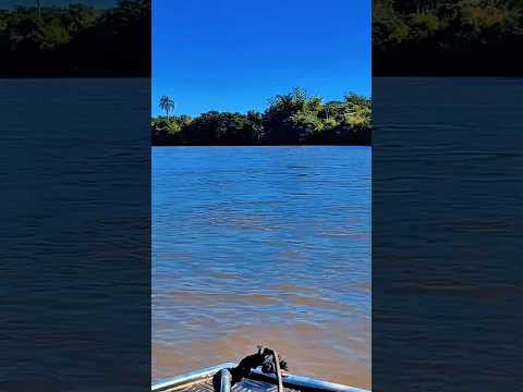 RIO DOURADO DOS GIGANTE FÁTIMA DO SUL MS!!