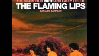 The Flaming Lips - Killer On The Radio