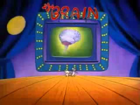 BackupYourBrain - Minus et Cortex en parlent