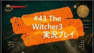 #43 The Witcher3 Game Play