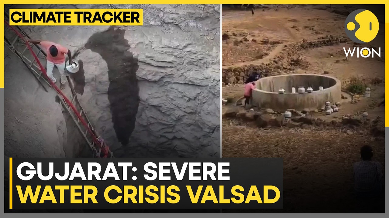 Villagers Risk Lives for a Few Pots of Water | WION Climate Tracker