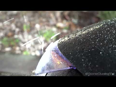 Winter Storm Starting In Linden, VA - 1/3/2022