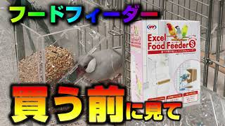 【文鳥】フードフィーダーを試したら想定外なことが