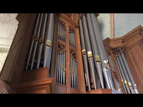 Wochenlied EG 358 (Mel. EG 349): Es kennt der Herr die Seinen