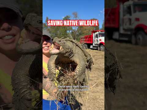 WE SAVED SO MANY ANIMALS! Info in comments. #nature #wildlife #outdoors #explore #diy #animals #omg