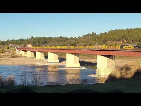 Comboio de Madeira n.º 42843 - Constância Sul