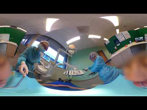 A Visit to the Dentist