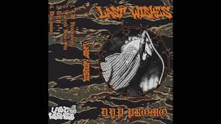 LAST WISHES - D.Y.P. PROMO [2019 Hardcore]