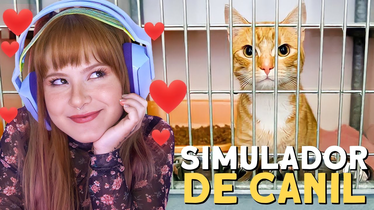 RESGATEI ESSE GATINHO E PRECISO DE UM LAR PRA ELE - simulador de canil #1