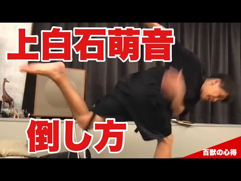 堀口恭司のカーフキックを繰り出す上白石萌音の倒し方👊倒し方シリーズ【武井壮／切り抜き】