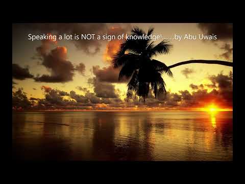 Speaking a lot is NOT a sign of knowledge!........ by Abu Uwais