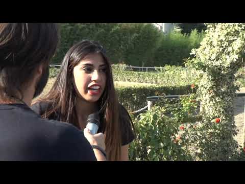 VERSO LA GIOSTRA DELL'ORSO: IL CERVO BIANCO