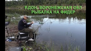 Ссылка