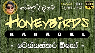 Wessanthara Biso Karaoke (Without Voice) වෙස