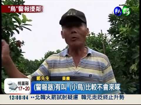 警報器驅趕鳥 響一整晚吵死人