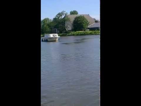 Engelse Salon boot Bounty