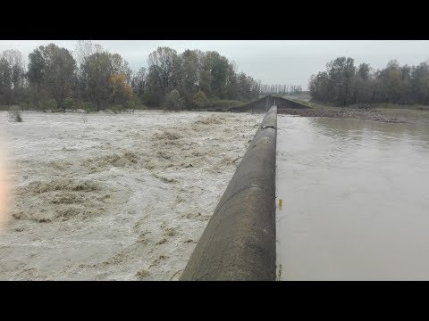 Fiume Secchia, la piena è piccola, Casse di espansione al lavoro, ma non troppo