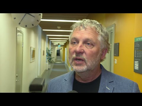 Skattelättnader ska få fler att hyra ut - Nyheterna (TV4)