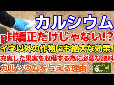 地図で見る: オーストラリア