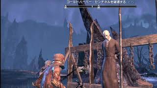 ESO完全初見プレイ～メインクエスト