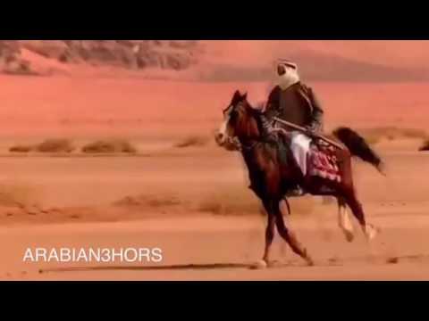 , title : 'شعر وصف الخيل العربي Horses'