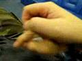 Please Don T Tickle Me