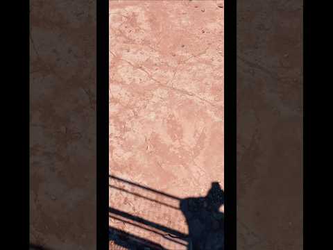 huellas de dinosaurio en Villa el Chocon, Neuquen, Argentina