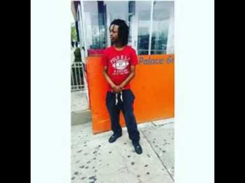 Gmebe bravo is a rat