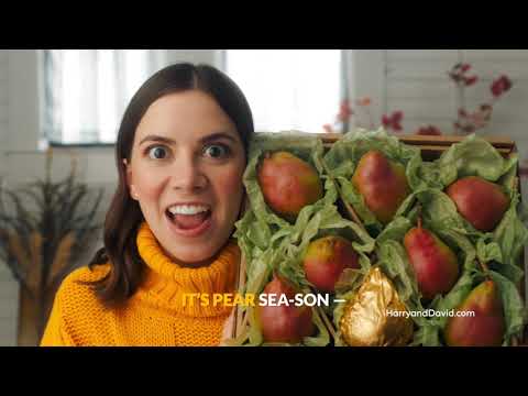 H&D Presents: Fall, The Musical (30 sec)