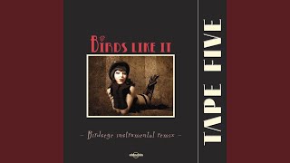 Birds Like It (Birdseye Instrumental Remix)