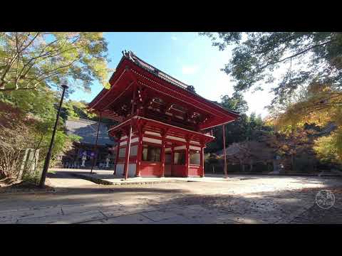 あさひ秋の空さんぽ(short)