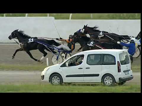 Napoli Trotto 07/07/2023 - 2ª corsa