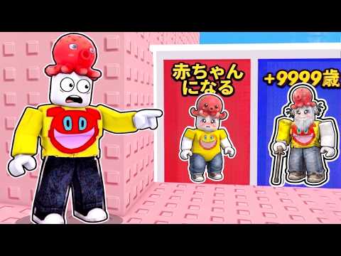 赤ちゃんタワーのどっちを選ぶ？ロブロックス【 Roblox 】