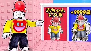 赤ちゃんタワーのどっちを選ぶ？ロブロックス【 Roblox 】