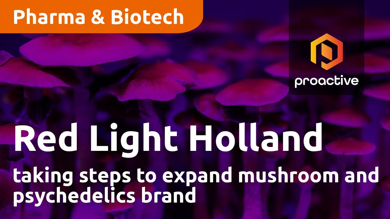 Red Light Holland taking steps to expand mushroom and psychedelics brand