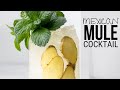 mexican mule (tequila ginger beer cocktail)
