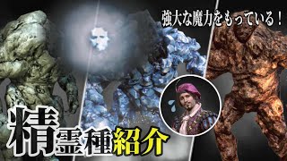 ウィッチャー3：改・『精霊種』紹介＆戦闘「ピクシー、エレメンタル、ゴーレム、ジンなど」【TheWitcher】