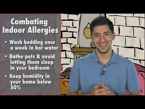 Did You Know - Common Indoor Allergies & How to Manage Them