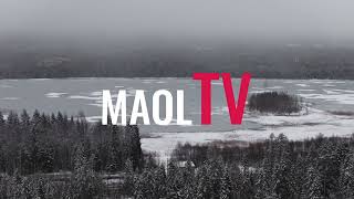 Fryst sjö i skogen