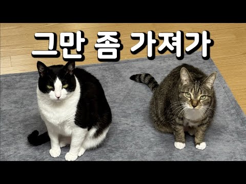 춘봉,첨지 돈으로 생색내고 다니기