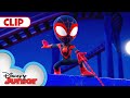 Too Much Fun | Marvel's Spidey and His Amazing Friends | @disneyjunior
