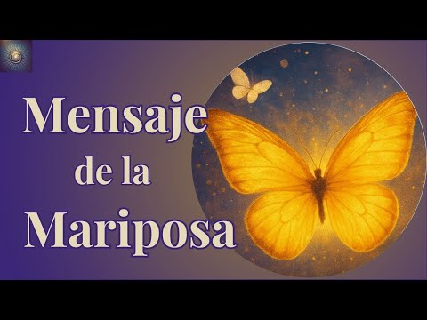🦋 Cuando aparecen mariposas: mensajes sagrados para tu transformación