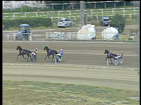 Trotto 22/06/2017 - 2ª prova di qualifica