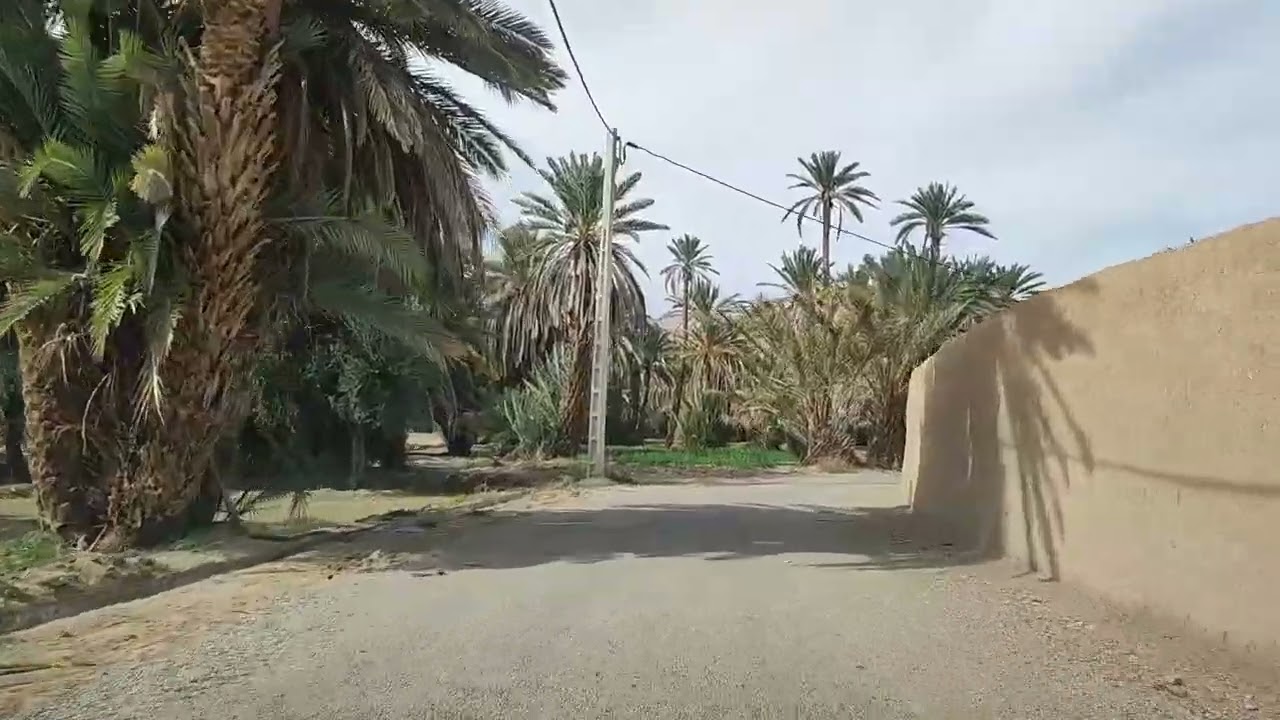 جولة في تاديغوست